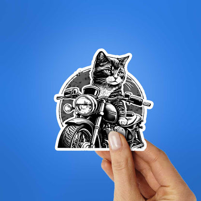 Cat Rider Sticker