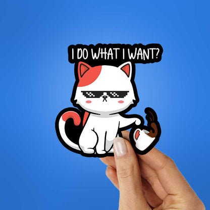 I Do What I Want Sticker